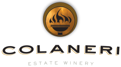 Colaneri-Logo-png